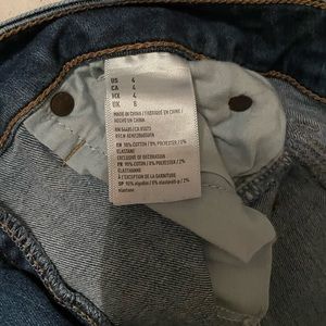 American Eagle Denim Shorts